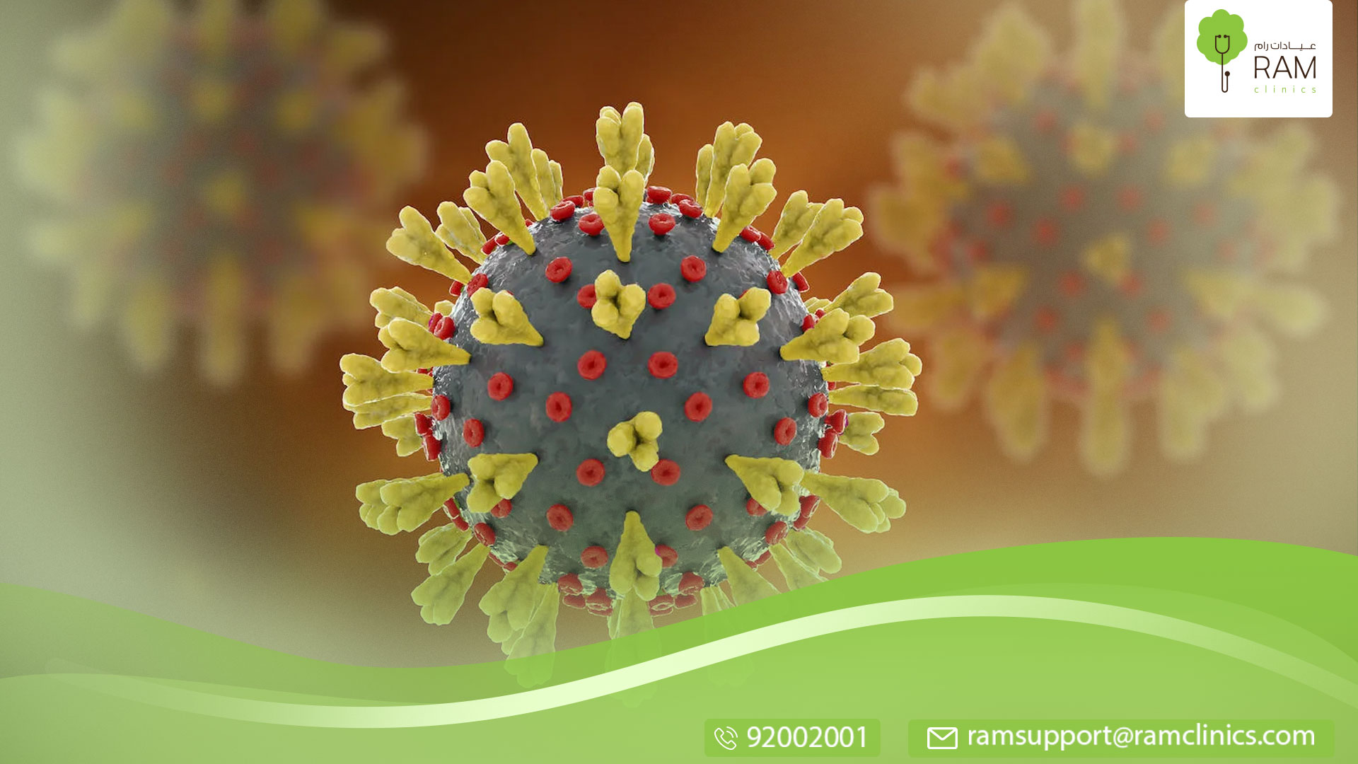 تأثير الفيروس على الجسم