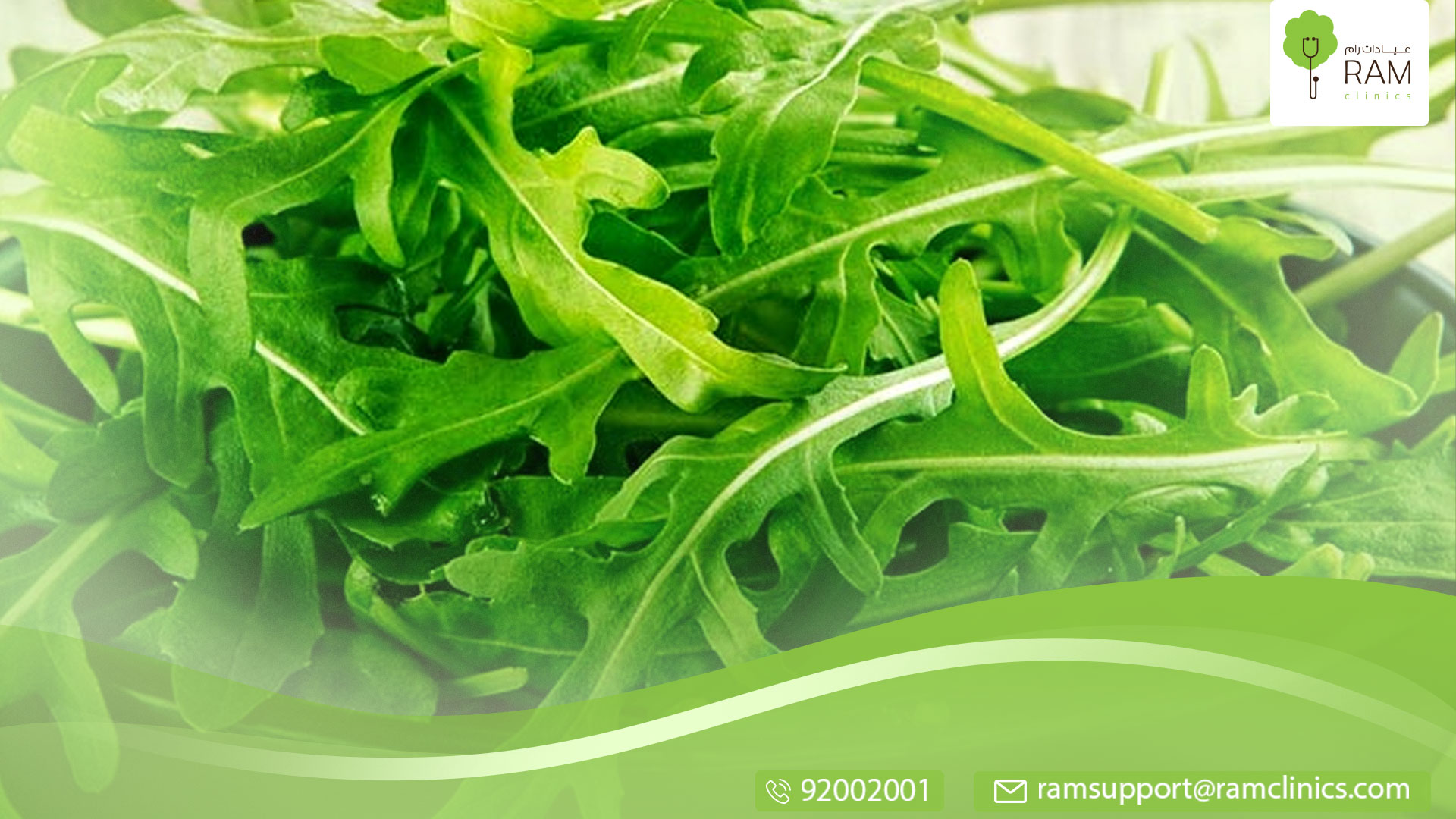 فوائد الجرجير للرجال