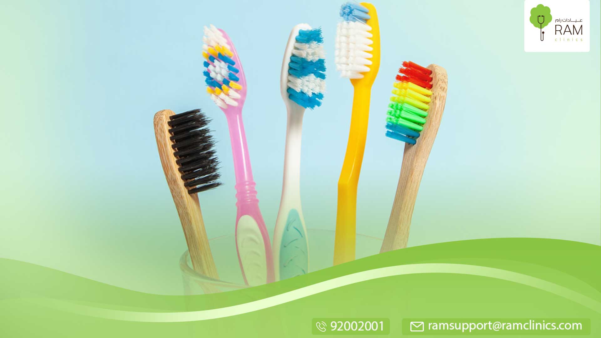 فرشاة الأسنان وحقائق عنها