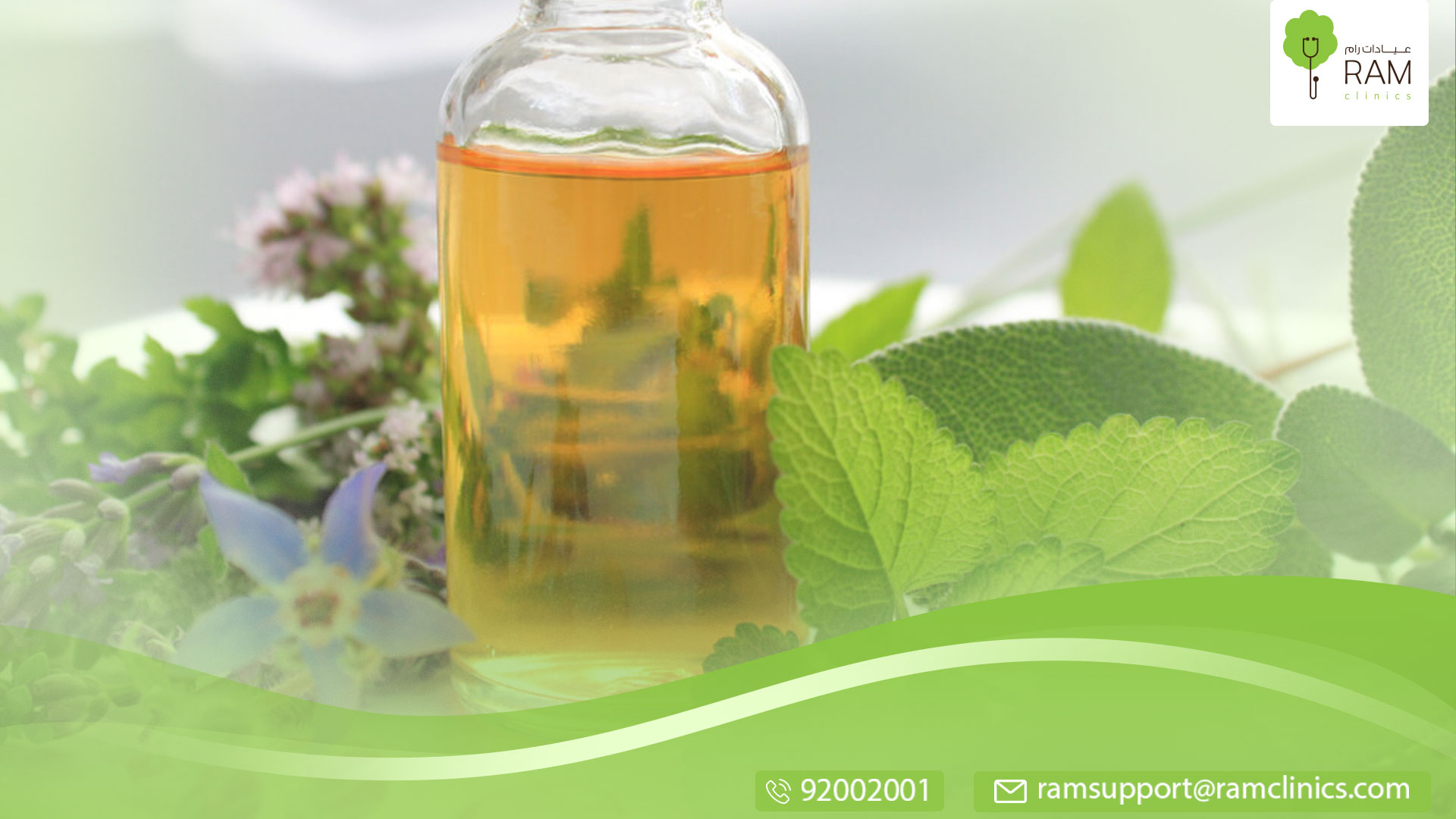 فوائد زيت لسان الثور