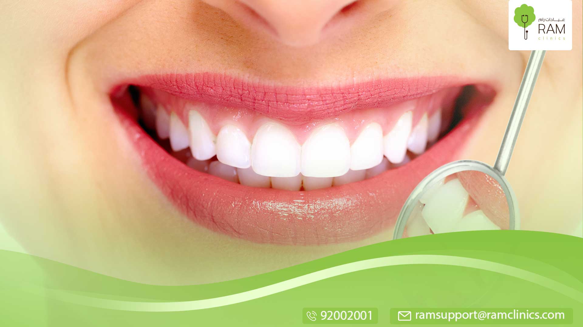 عدد أسنان الإنسان