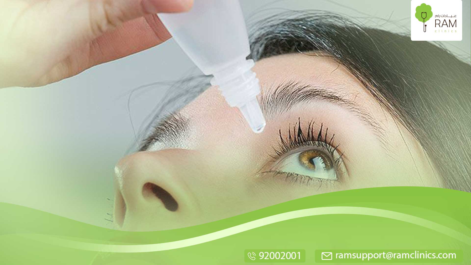 العصب البصري