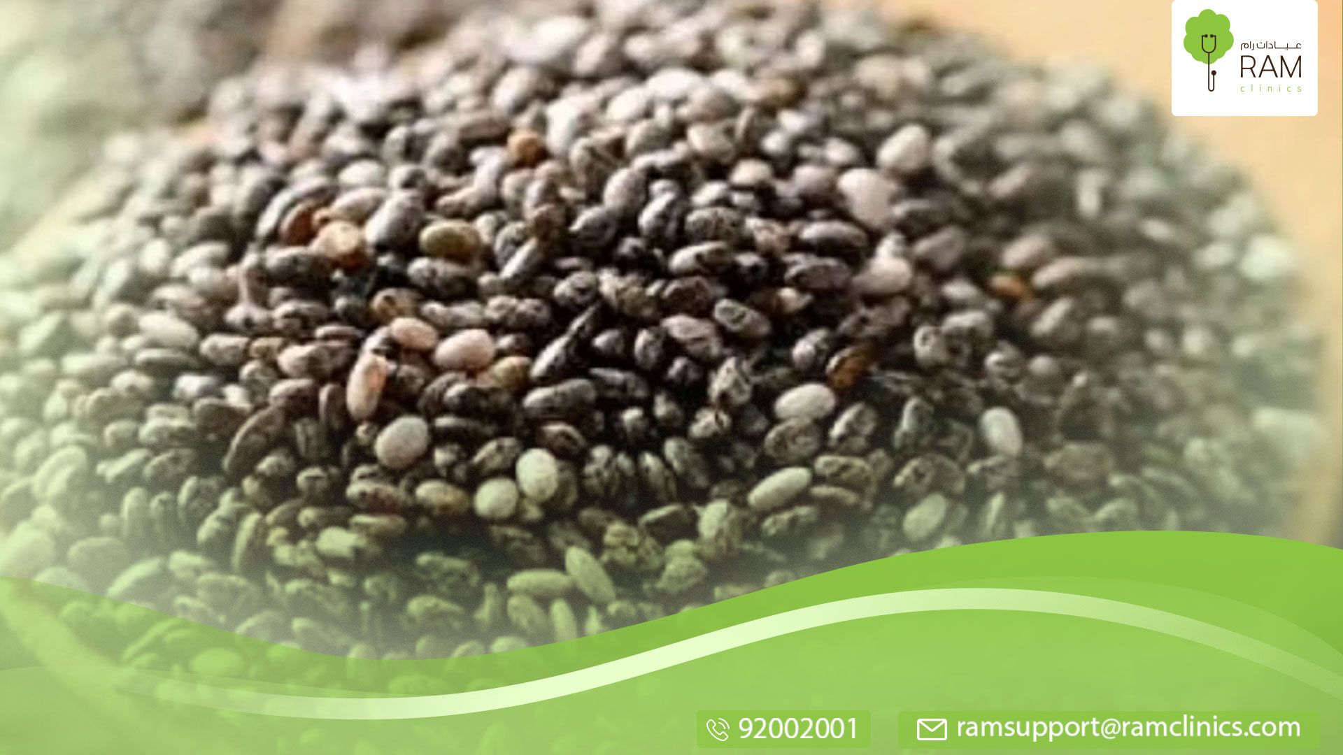 وصفات بذور الشيا