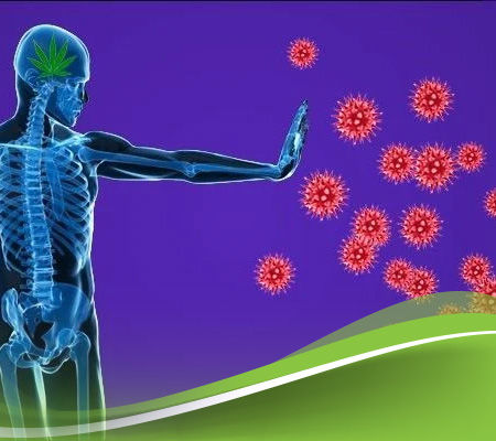 تقوية الجهاز المناعي