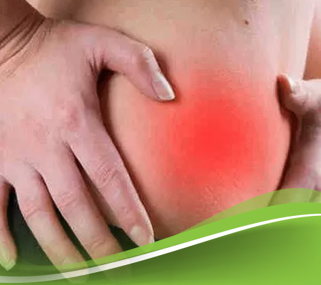 ما هي الزائدة الدودية