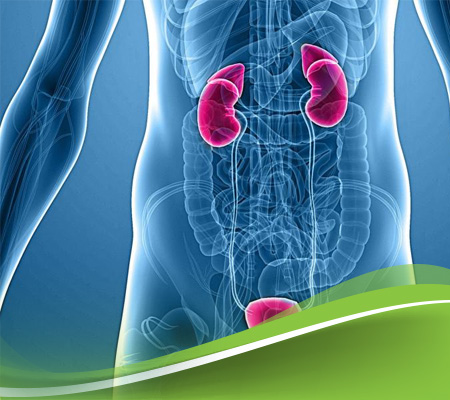 مشاكل-المسالك-البولية