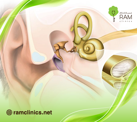علاج-الاذن-الوسطى علاج-الاذن-الوسطى