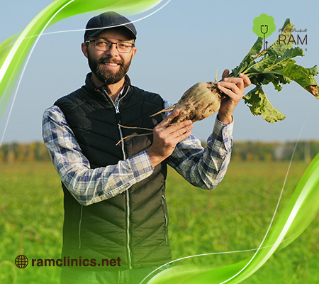 فوائد-الشمندر-للرجال