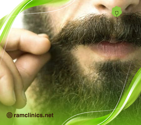 زراعة-الشنب-واللحية-في-السعودية