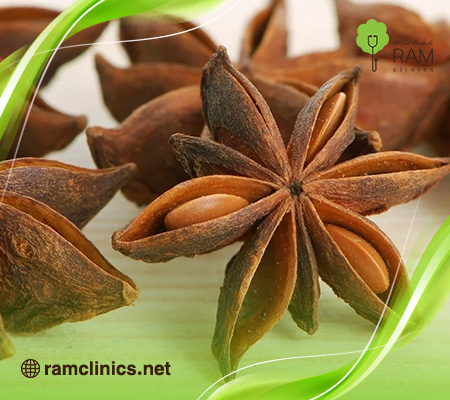 فوائد-اليانسون-النجمي-للهرمونات